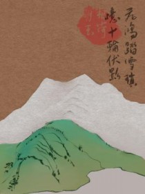 飞鸿踏雪琐忆十轮伏影刀